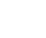 Evolution games at Spin Fortune Space Casino